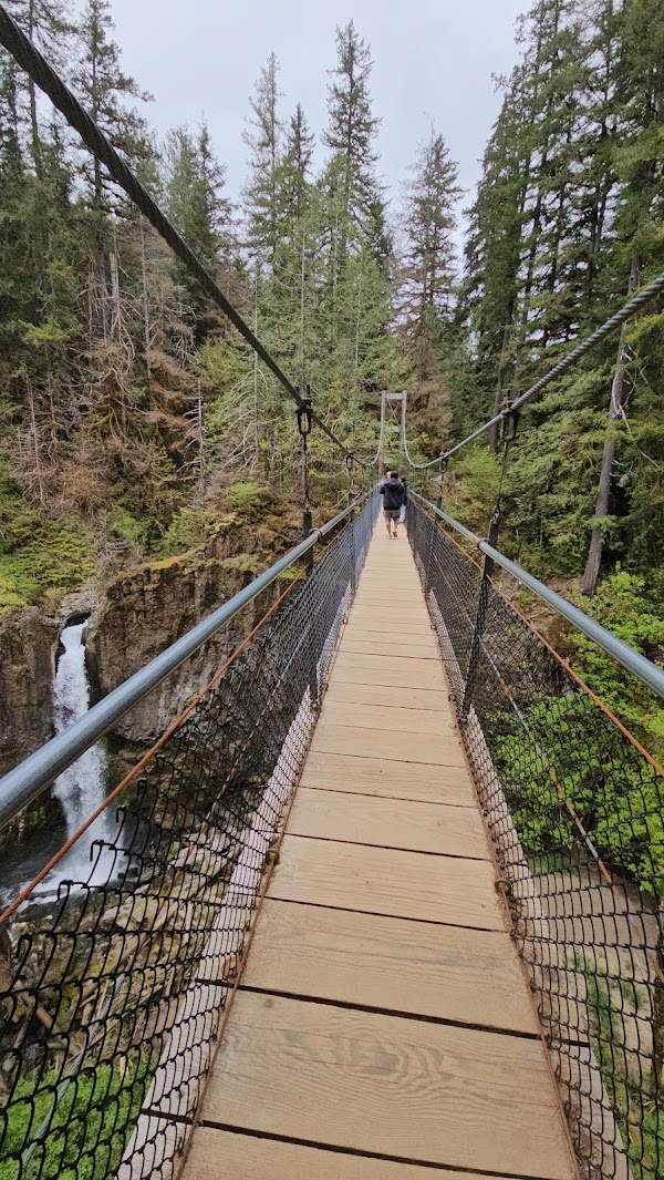 Drift Creek Falls 4