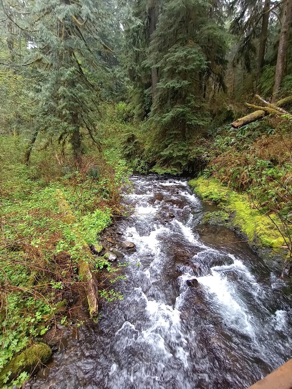 Drift Creek Falls 2