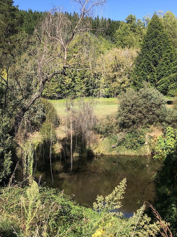 Porepunkah 3
