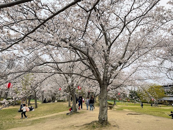 The Keihanna Commemorative Park 5