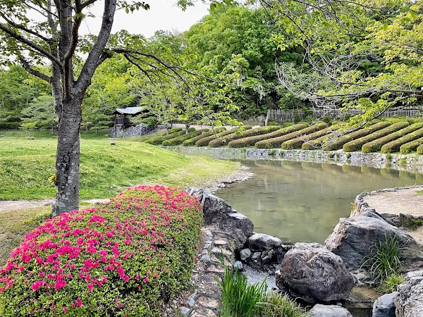The Keihanna Commemorative Park 4