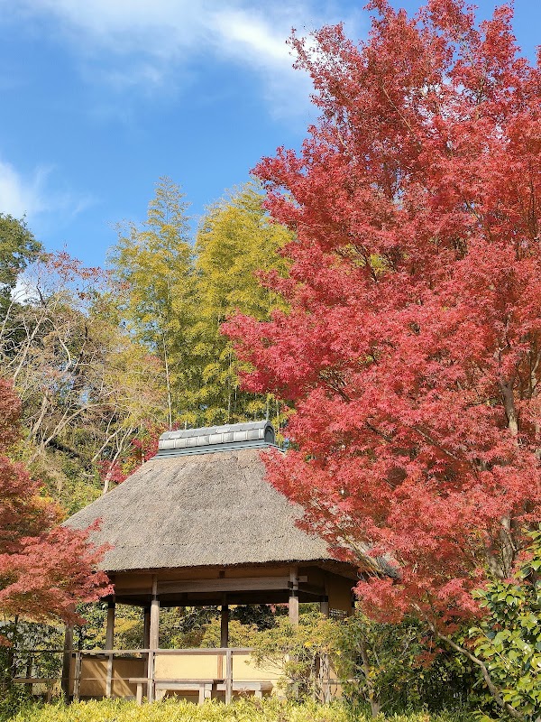 The Keihanna Commemorative Park 3