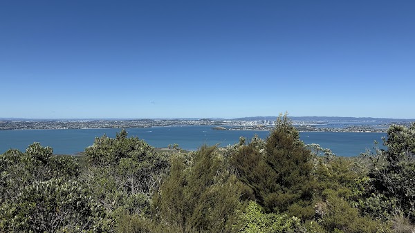 Rangitoto Island 6