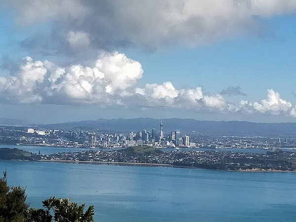 Rangitoto Island 5