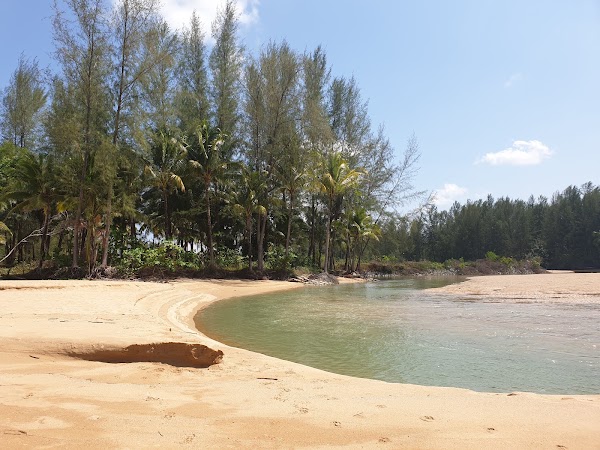 หาดคึกคัก 4