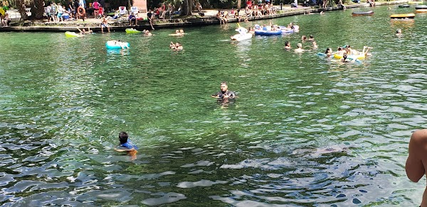 Wekiwa Springs State Park 5