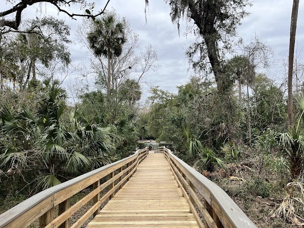 Wekiwa Springs State Park 4