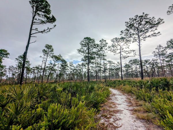 Wekiwa Springs State Park 3