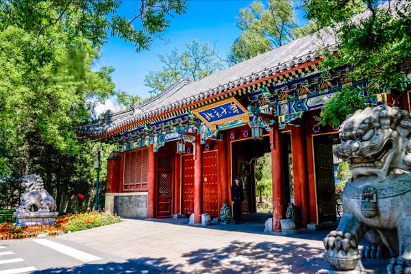 Peking University 5