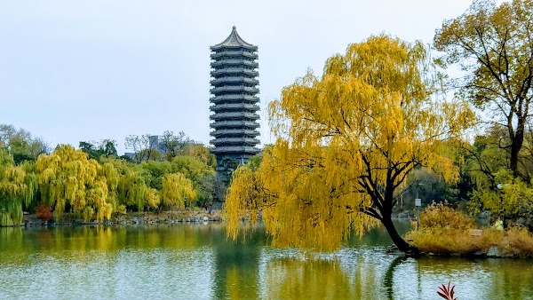 Peking University 4