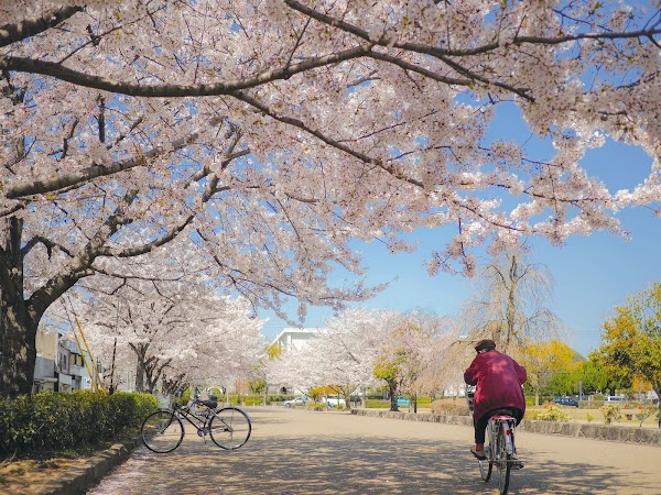 Karoyashiki-ato Park (Historic Site Park) 1
