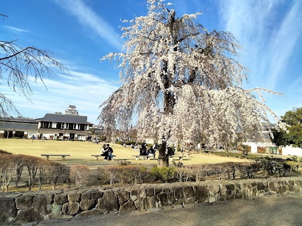 Karoyashiki-ato Park (Historic Site Park) 5