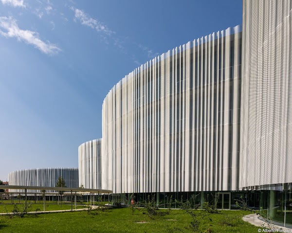 Università Bocconi