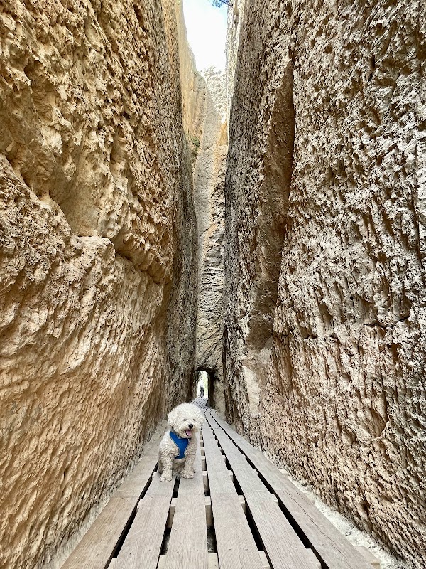 Peña Cortada 4