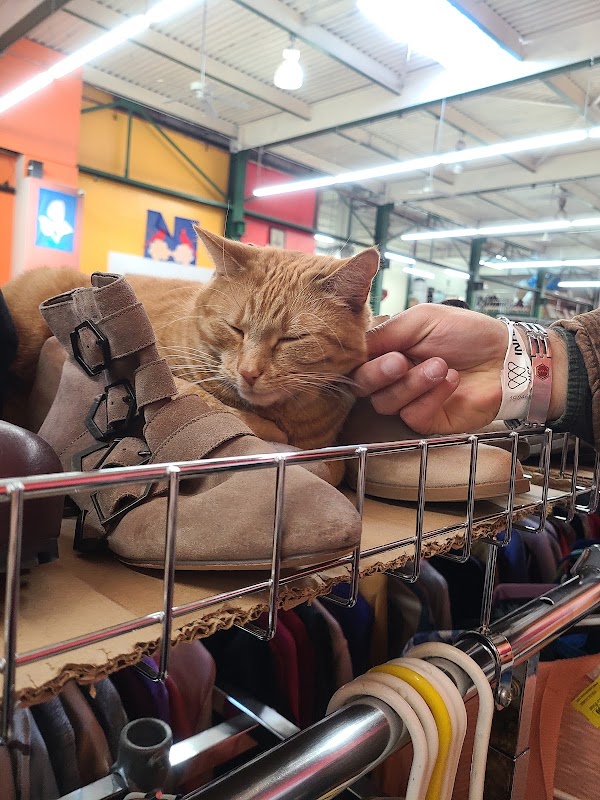 Le Point Value Thrift 4