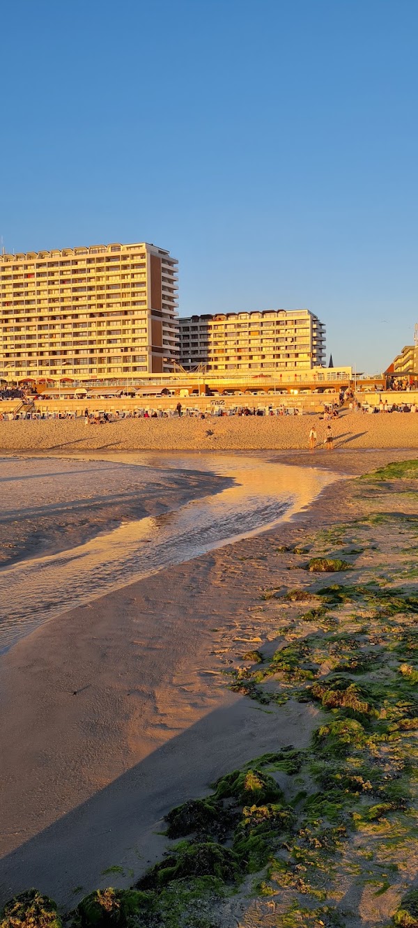 Westerland