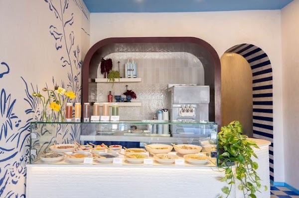 MELI Frozen Yogurt
