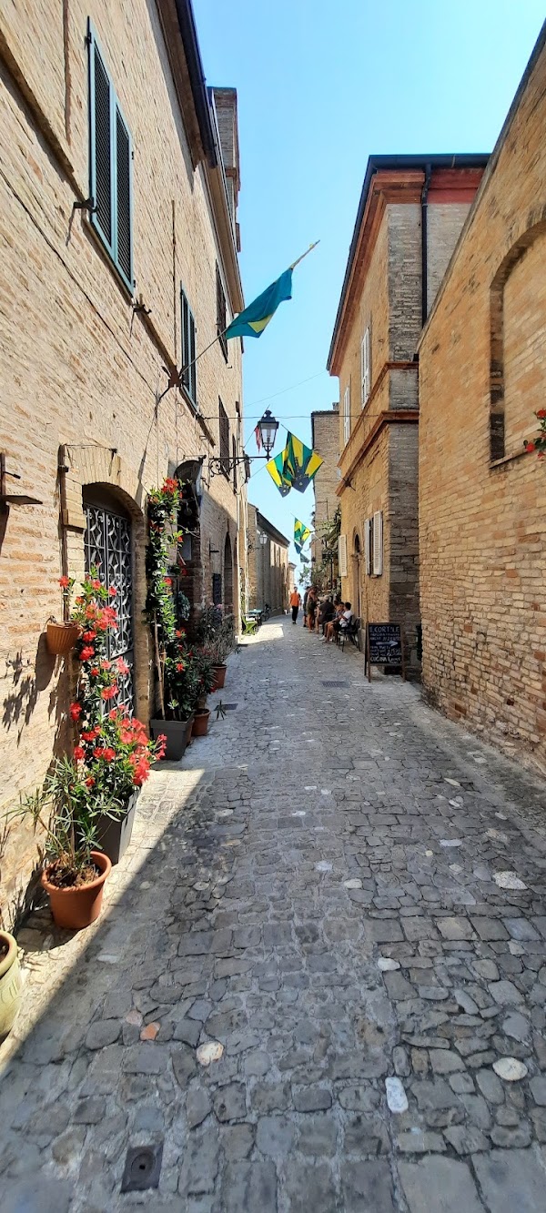 Le Marche  54