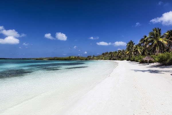 Isla Contoy 5