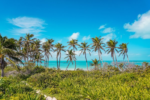 Isla Contoy 3