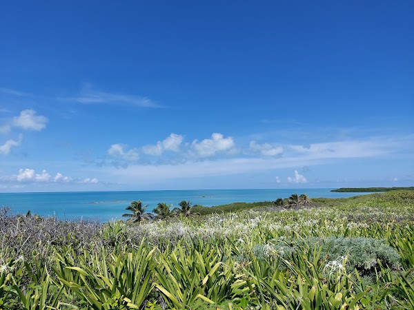 Isla Contoy 2