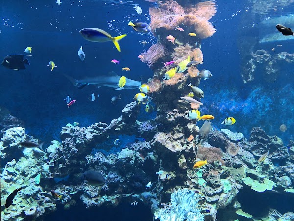 Haus der Natur 4