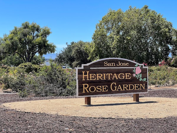 Guadalupe Gardens Heritage Rose Garden 5