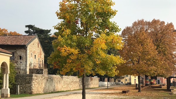 Sant'Eufemia della Fonte