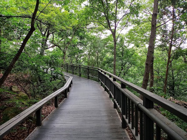 Gwanak Mountain Park 5