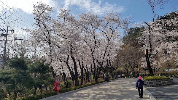 Gwanak Mountain Park 4