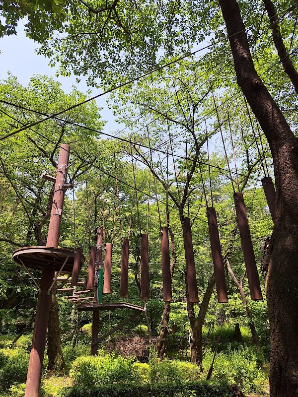 Gwanak Mountain Park 2