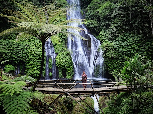 Banyumala Waterfall 5