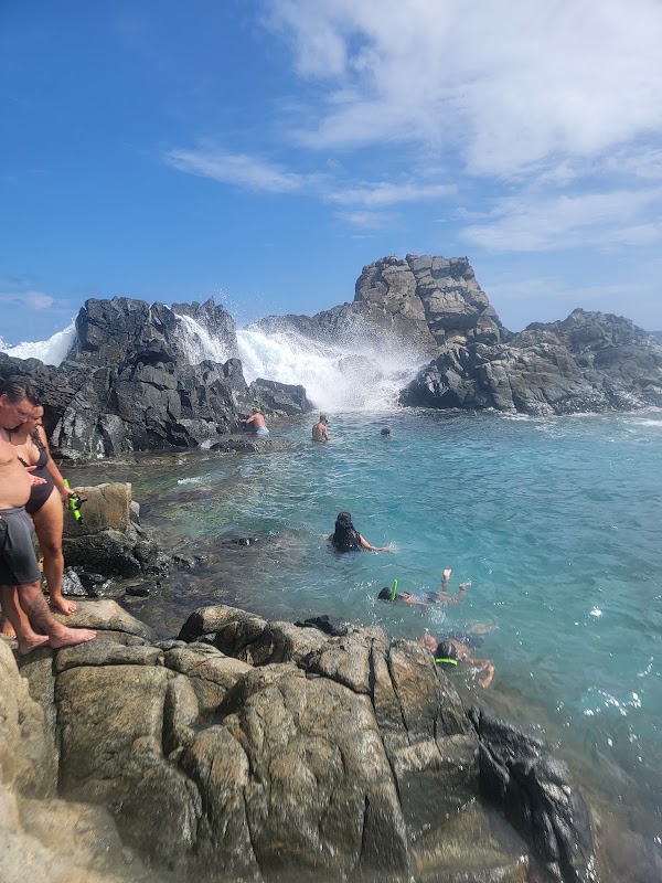 Natural Pool