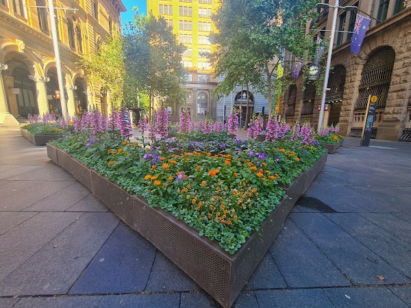 Martin Place 2