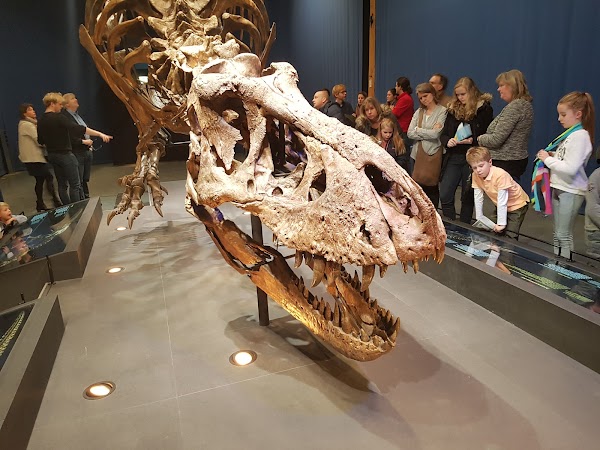 Naturalis Biodiversity Center 3