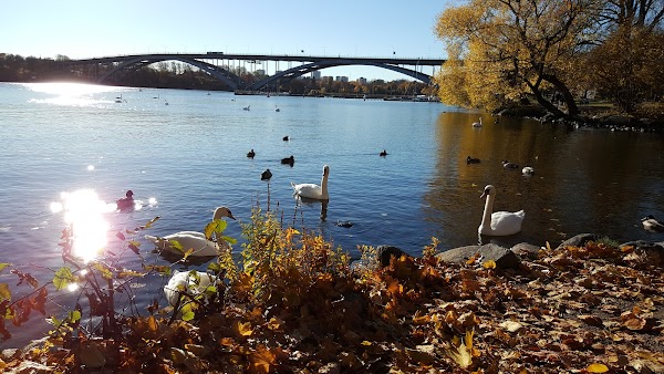 Rålambshovsparken 1
