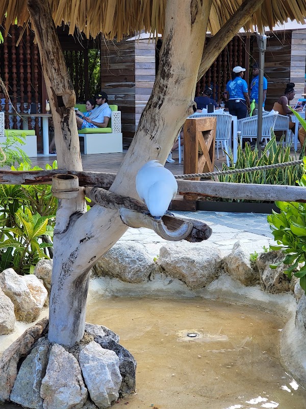 Puerto Plata 4
