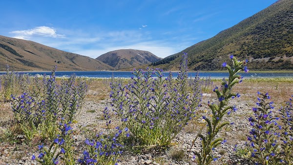 Arthur's Pass Village 4