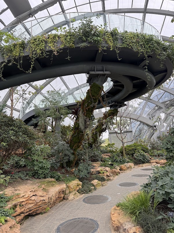 Shanghai Botanical Garden 5