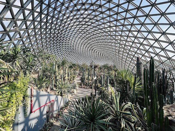 Shanghai Botanical Garden 4