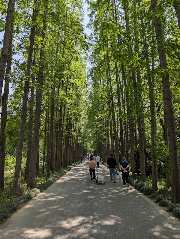 Shanghai Botanical Garden 2