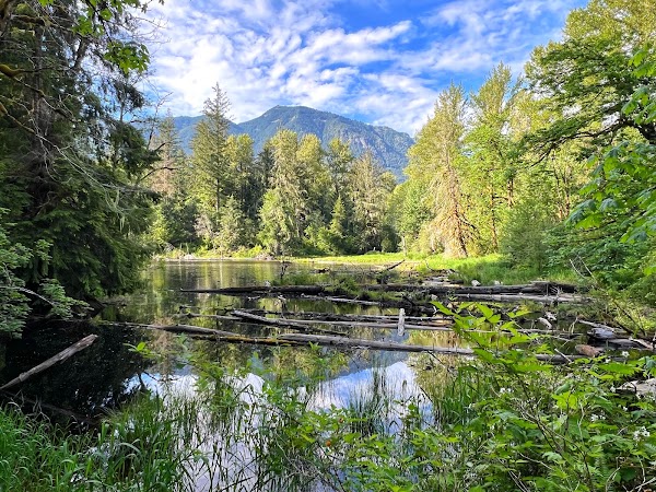Oxbow Trail Loop