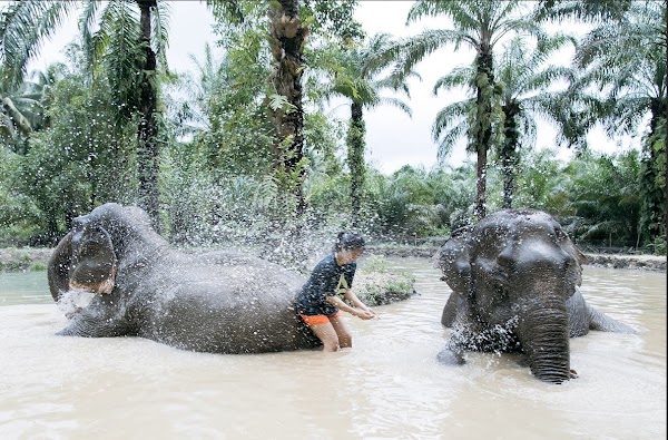 The Elephant Sanctuary Krabi Thailand 2