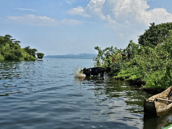 Lake Kivu 4