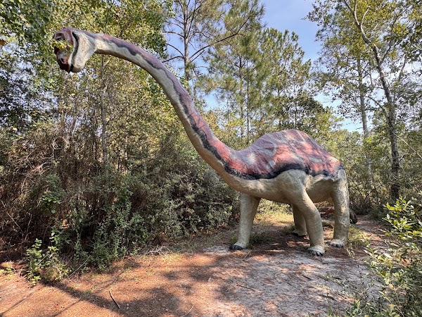 Dinosaurs In The Woods -- Brontosaurus