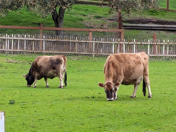 Deer Hollow Farm 3