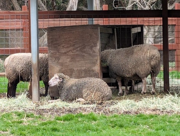 Deer Hollow Farm 2