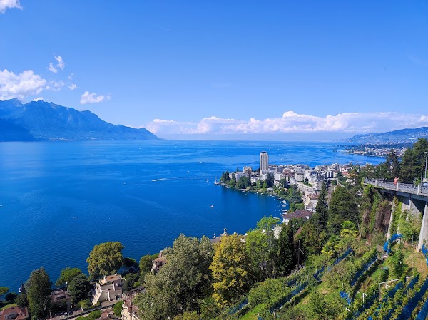 Caux