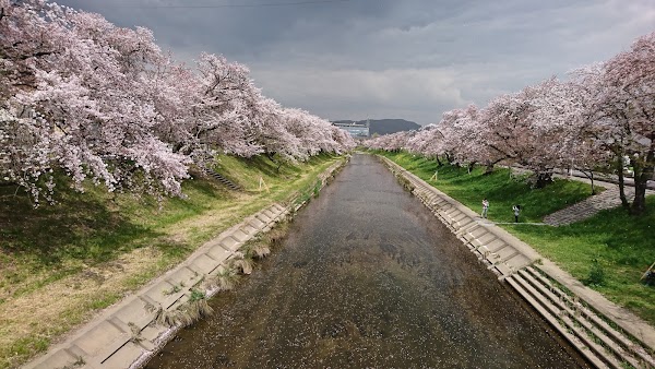 Japan 40