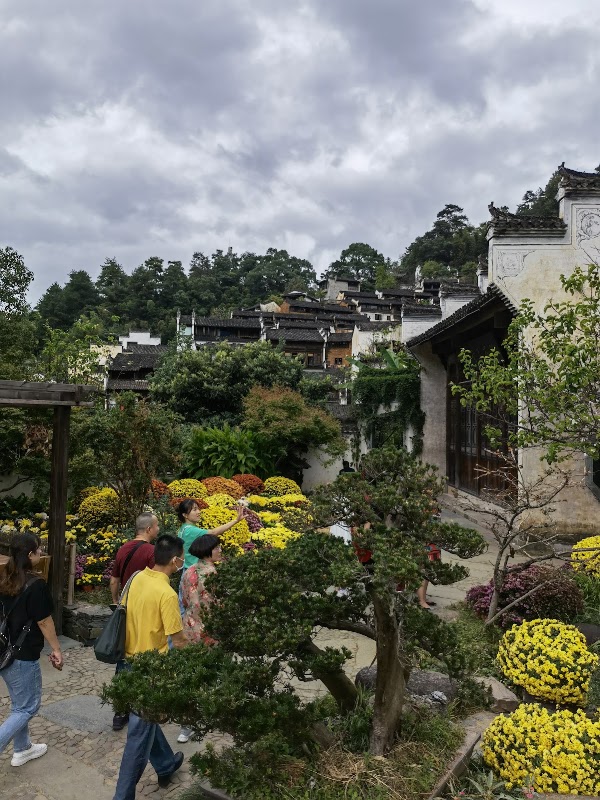 Huanglingcun 5